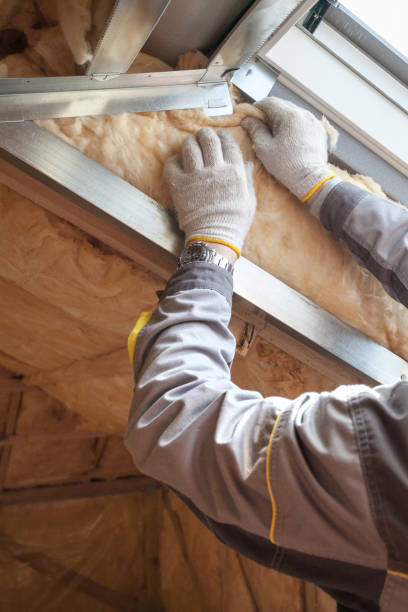 Best Commercial Insulation in Manassas Park, VA