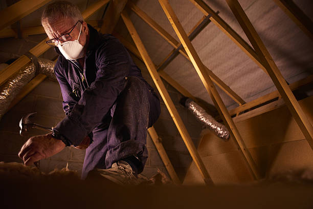  Manassas Park, VA Insulation Contractor Pros