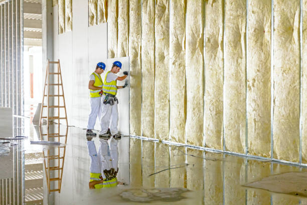 Types of Insulation We Offer in Manassas Park, VA